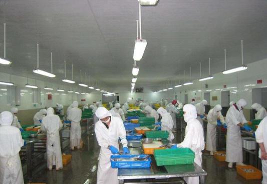 潍坊远航环保 专业打造速冻食品厂清洗废水处理设备与建筑物清洁服务解决方案